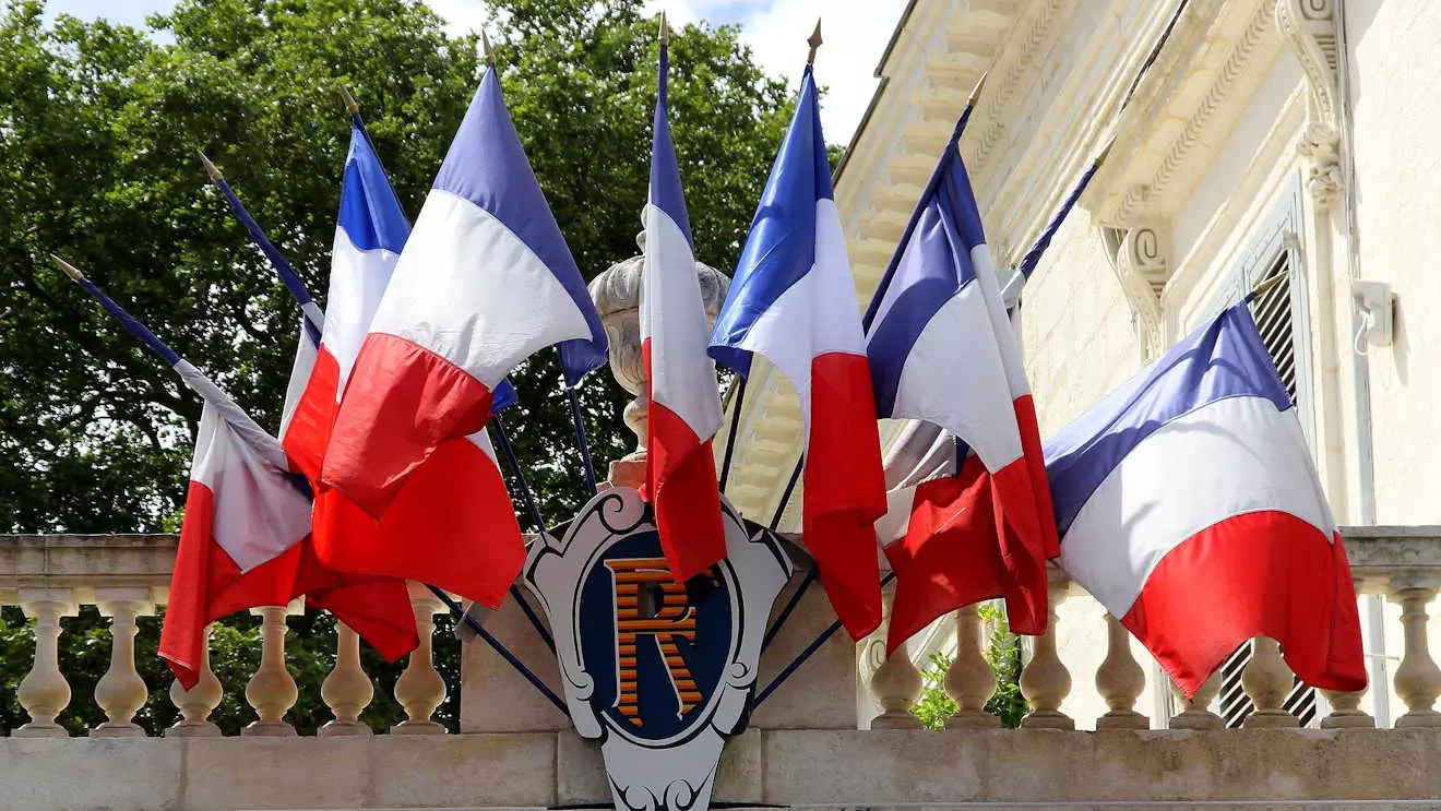 french flags