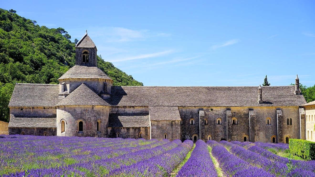 lavendar field provence france500