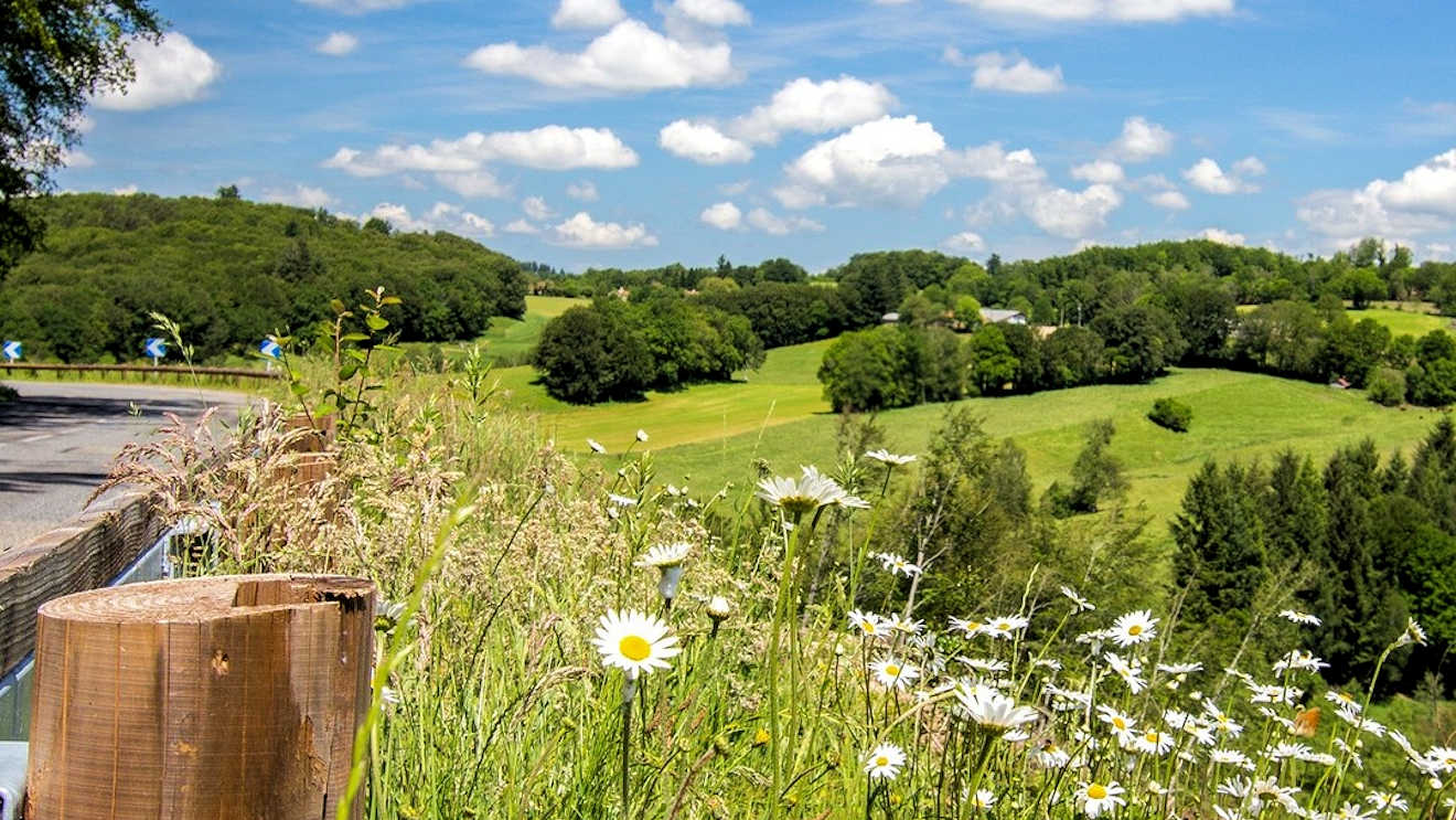 lot countryside