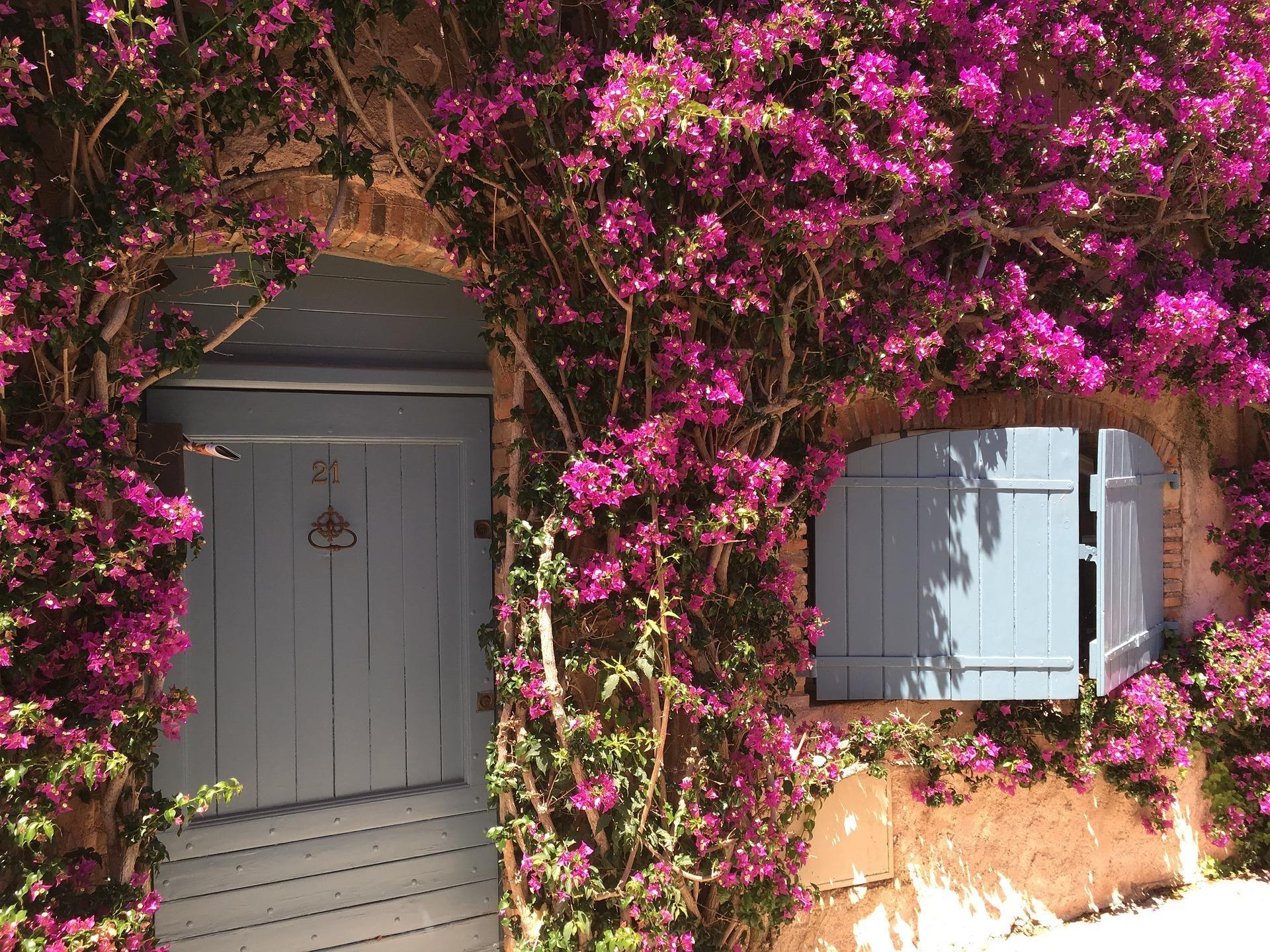 Houses To Rent Northern France Christmas 2022 Home