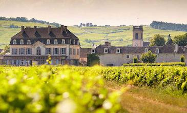 Les Epenots - Pommard long term rental Burgundy France