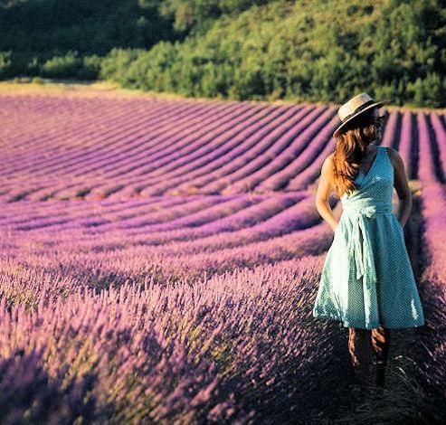 Long term rentals Provence